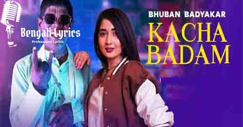 Kacha Badam Song