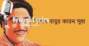 Bipinbabur Karan Sudha Lyrics | বিপিন বাবুর কারন সুধা