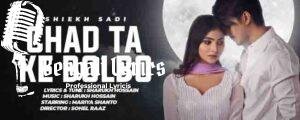 Chad Ta Ke Bolbo Lyrics | চাঁদ টা কে বলবো | Shiekh Sadi