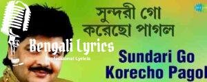 Sundari Go Korecho Pagol Lyrics | সুন্দরী গো করেছো পাগল | Udit Narayan