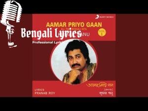 Tumi Eshechile Jibone Amar Lyrics (তুমি এসেছিলে জীবনে আমার) Kumar Sanu