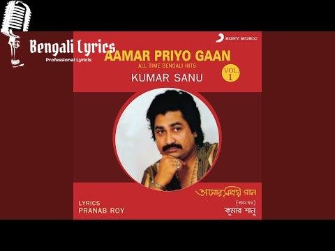 Tumi Eshechile Jibone Amar Lyrics